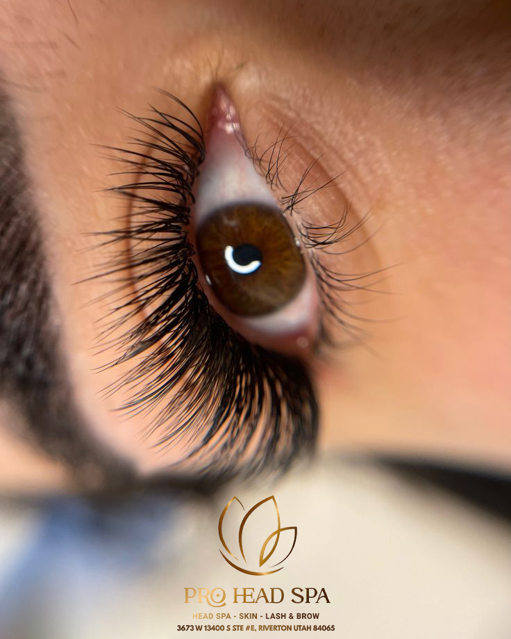 Eyelash extension